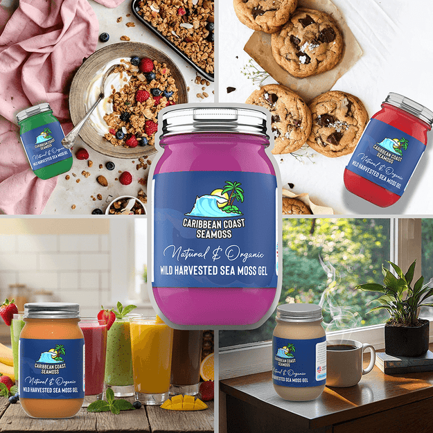 Recipes You Can Try With Sea Moss
