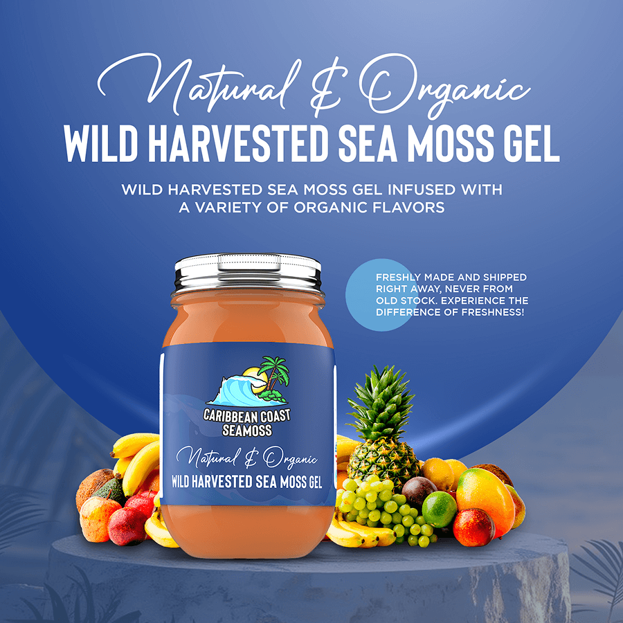 Chlorella Infused Organic Sea Moss Gel