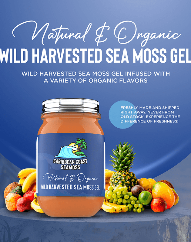 Organic Turmeric Infused Sea Moss Gel | Turmeric Cinnamon Ginger, or Turmeric Chai