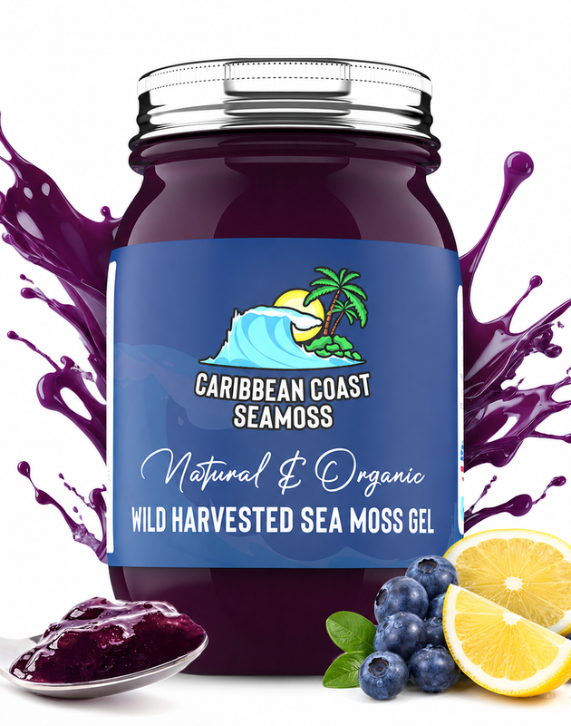 Fresh Organic Blueberry Lemonade Infused Sea Moss Gel