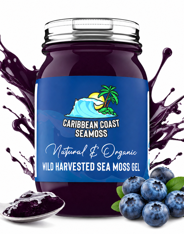 Fresh Organic Blueberry Infused Sea Moss Gel