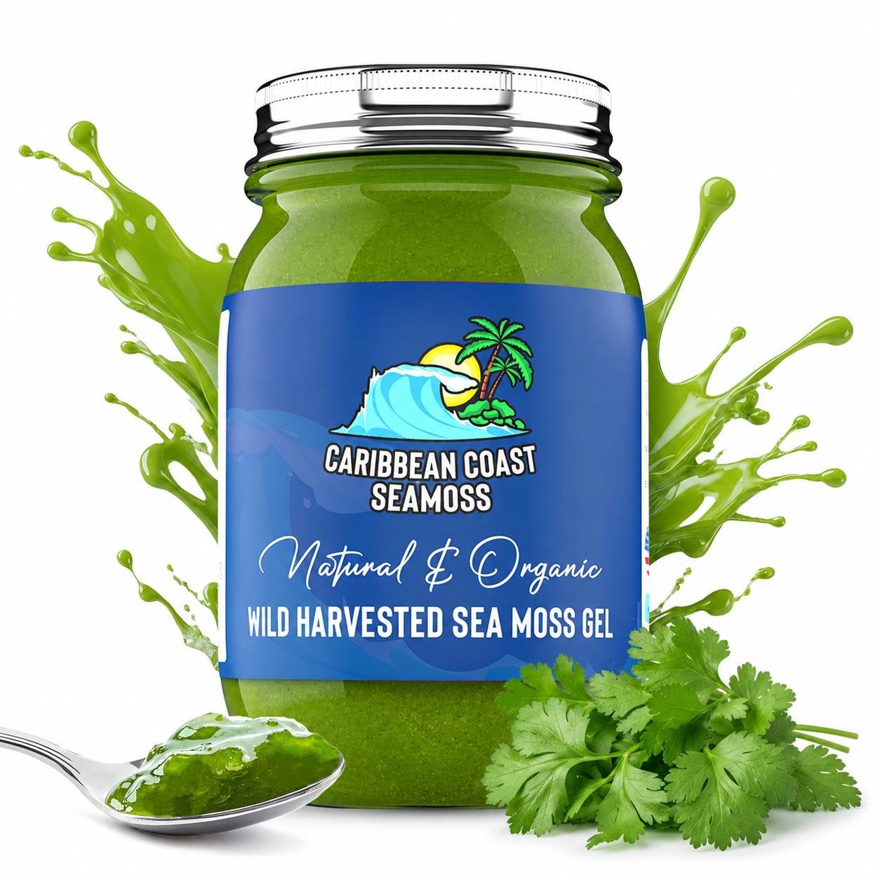 Cilantro Infused Organic Sea Moss Gel
