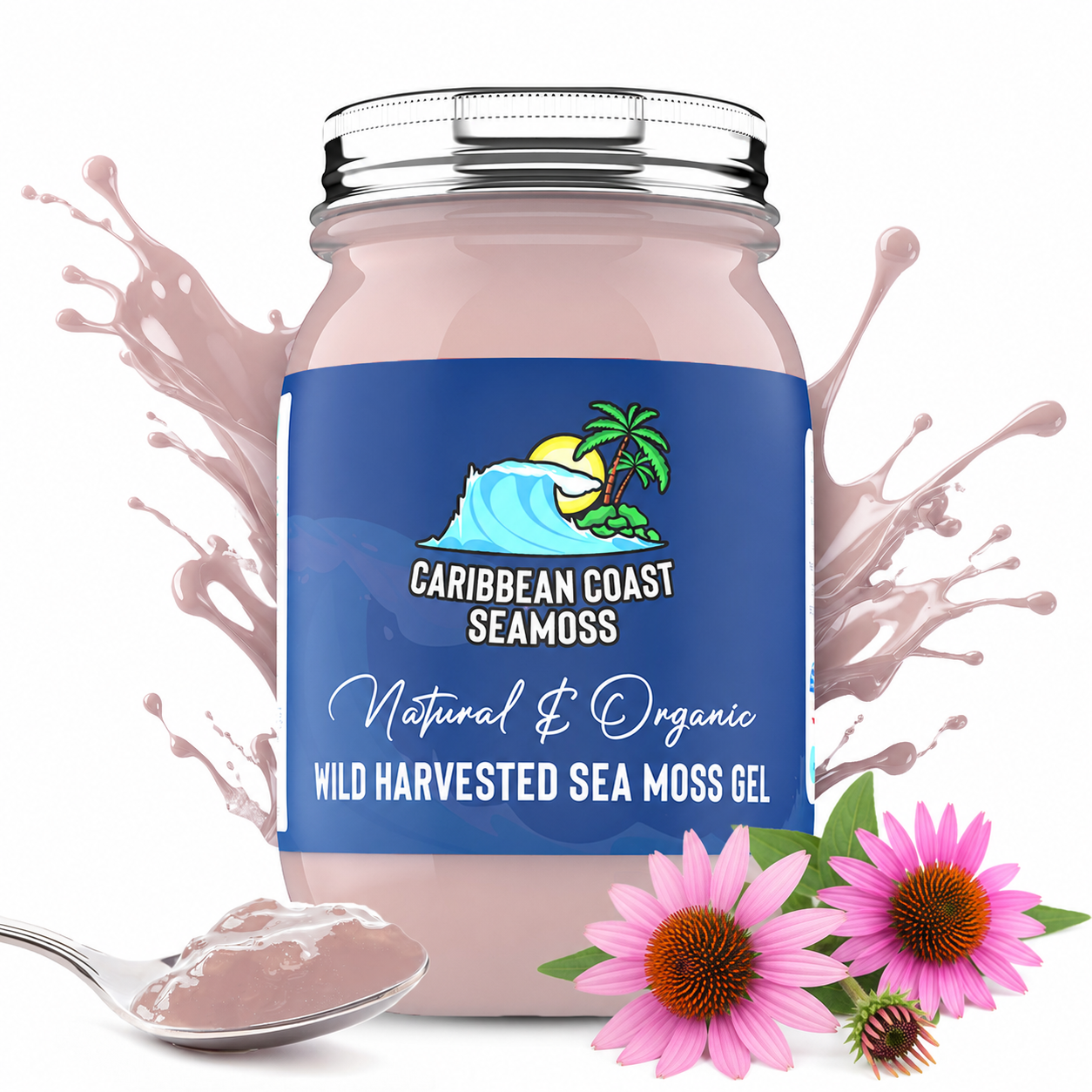 Echinacea Infused Organic Alkaline Sea Moss Gel