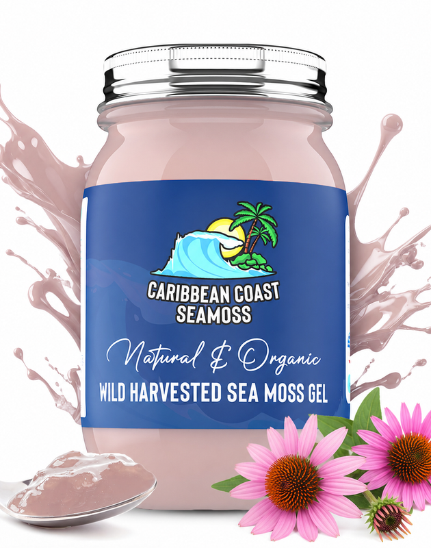 Echinacea Infused Organic Alkaline Sea Moss Gel