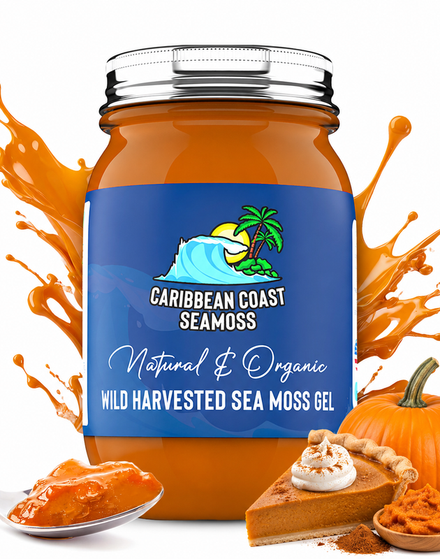 Organic Pumpkin Pie Infused Sea Moss Gel