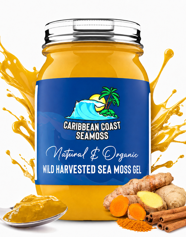 Organic Turmeric Infused Sea Moss Gel | Turmeric Cinnamon Ginger, or Turmeric Chai
